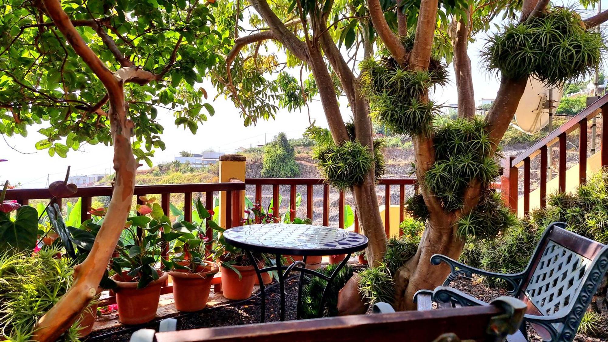 Casa de camp Nacientes: Cordero